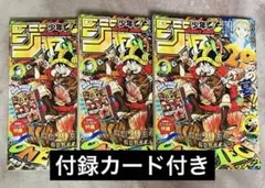 T*M様 週刊少年ジャンプ 1999年 24号 11巻デザイン ワンピース 表紙