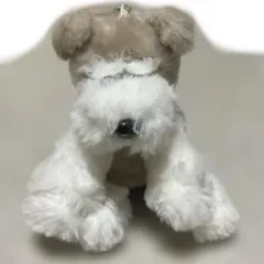 くったりシュナウザー ウェルカムVMC チャグレ ぬいぐるみ マスコット