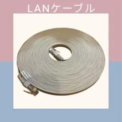 グレー LANケーブ 10m Cat.5e
