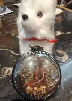 【MADAME】タイのお守りプラクルアン！金運&開運アップ！クールな骸骨！ MADAME】タイのお守り プラクルアン！特製ドクロ！金運アップ！ - メルカリ