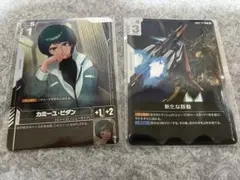 新たな鼓動 & カミーユ・ビダン　ニュータイプチャレンジ