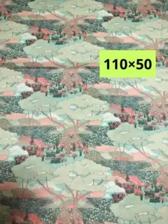 2015年春夏限定柄 50cm　Oxford　レア　アパレル残反