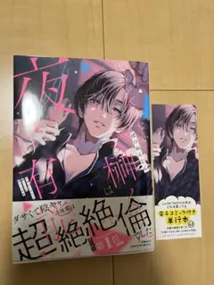 仕事ができない榊くんは夜だけ有能、しおり付き