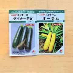 かめ様 リクエスト 4点 まとめ商品