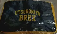 宇都宮ブレックス メッシュ圧縮ポーチ