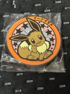 ポケモン イーブイ　ポケふた ピンバッジ　マンホール　指宿市