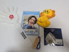 長妻怜央 ガトゥーマライオン ぬいぐるみキーホルダー 7ORDER