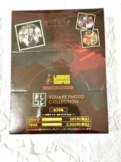 リンバスカンパニー ましコレ スクエアフォトコレクション BOX - メルカリ