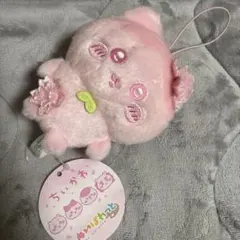 ちいかわ　ハチワレ　ぬぱれっと　さくらいろ