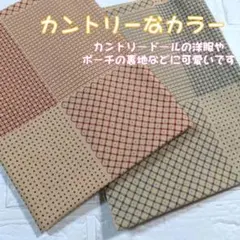 ❣️希少☘️カントリーなカラー☘️くすみカラー　【２色セット】☘️カットクロス