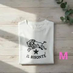 美品 IL BISONTE ロゴTシャツ Mサイズ ホワイト コットン