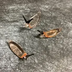 ベネチア、ガラス細工