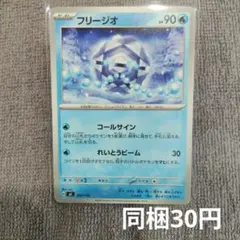 【在庫2】フリージオ まとめ買いのサムネイル