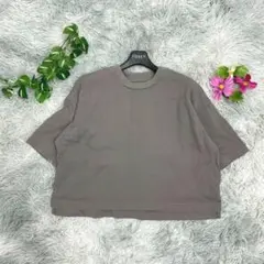 【TIGORA SMART】ティゴラ 綿100% ボックスTシャツ トープ Sのサムネイル