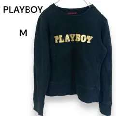 Item thumbnail for item c7895188-9efd-4739-b7d7-c2aed0be5518