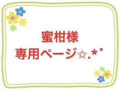 蜜柑様専用ページ✩.*˚