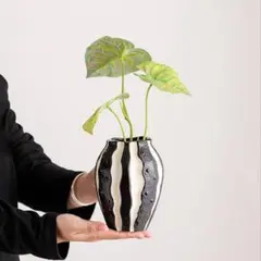 Item thumbnail for item e979f7a0-b800-47c6-82ab-87e943acb5e0