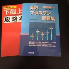 Item thumbnail for item 394cbaf5-003a-4f0a-bf63-ed33b2a7af5e