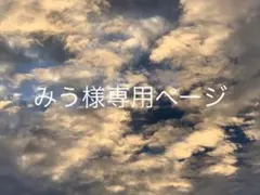 みう様専用ページ