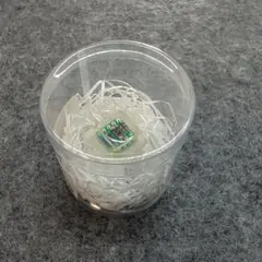 sassa95 ダイオードキーキャップ③