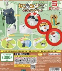 ねこあつめ2 めじるしアクセサリー かふぇさん あんけーとさん はちわれさん
