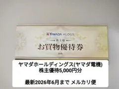 ヤマダホールディングス お買物優待券 5,000円分