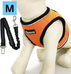 Item thumbnail for item 5be48f8e-c1a1-4462-9c88-316f1cff1b06