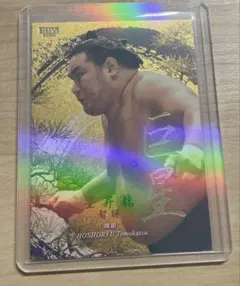 Item thumbnail for item 21a5b13a-58cc-4d40-8e84-c69f8ac29442