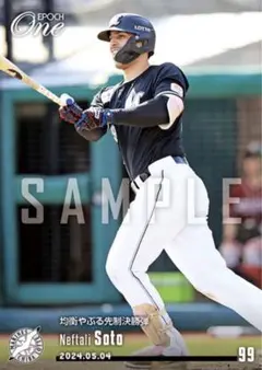 Item thumbnail for item 2d53e675-4833-40b3-93b3-17d196248ef4