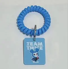 TWICE THIS IS FOR ランダムロッカーキーリング　ナヨン