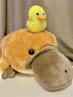 2026年最新】はしっこ かものはしの人気アイテム - メルカリ