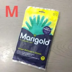 Item thumbnail for item 23fd5787-0b50-432e-9227-6e1083731419