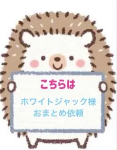 ホワイトジャック様 リクエスト 2点 まとめ商品