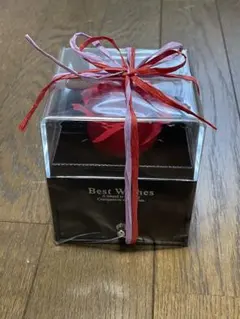 【新品未開封】ジュエリーボックス リボンラッピング済み