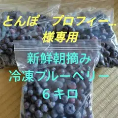 新鮮朝摘み　生ブルーベリー　６キロ　栽培期間中農薬不使用 新鮮朝摘み 生ブルーベリー 6キロ 栽培期間中農薬不使用 - メルカリ