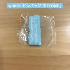 w-inds. ピンバッチ - メルカリ