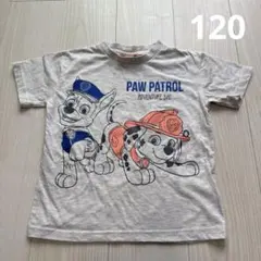 パウパトロール 半袖 Tシャツ 120のサムネイル