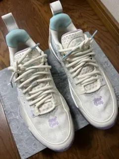 リーニン Wade バッシュ ALL CITY 13綿菓子　US7 25cm