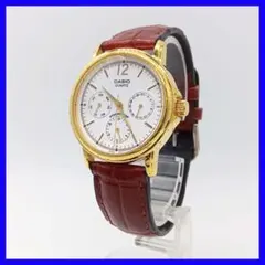 656 무료 배송 [배터리 교환] 카시오 CASIO 여성 / 시계