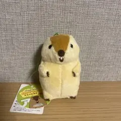 マーモットのもっとっと モア　VMC　ぬいぐるみ　叫ぶもっとっと