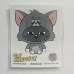 テサン トムジェリ