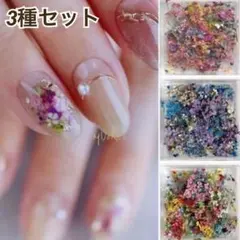 SMint エスミント ネイルパーツ 押し花 ドライフラワー - メルカリ
