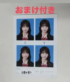 古園井寧々 証明写真 seju 4枚セット - メルカリ