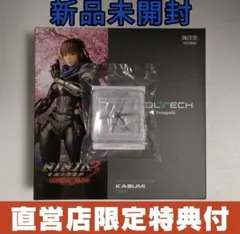 新品未開封 リボルテック アメイジング・ヤマグチ かすみ 特典パーツ付き 新品未開封 リボルテック アメイジング・ヤマグチ かすみ 特典パーツ