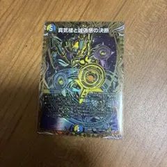 2026年最新】パーフェクトペテンシーの人気アイテム - メルカリ