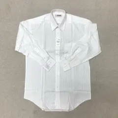 Item thumbnail for item 8d77863c-95d8-46ab-bde9-1dc0162c4337