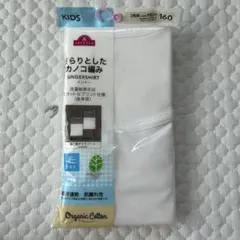 Item thumbnail for item a17a0244-e1c3-4481-b3ba-bd6a96486cf8