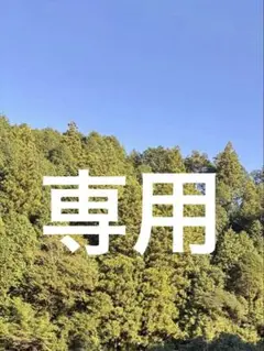 専用です