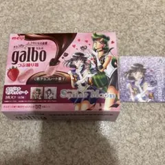 明治 ガルボ セーラームーン マグネットシート　セーラーサターン　空箱