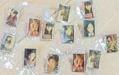 深田恭子　レア　レトロ　希少　コレクション　ピンバッジ　グラビア